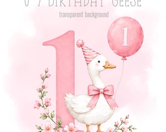 Pink Birthday Geese, 1-9 PNG, Little Geese, Sublimation Design, Silly Goose Clipart, Trending Silly Goose, Instant Digital Download