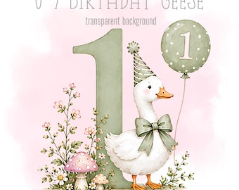 Cottage Core Birthday Geese, 1-9 PNG, Little Geese, Sublimation Design, Silly Goose Clipart, Trending Silly Goose, Instant Digital Download