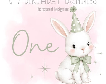 Sage Birthday Bunnies, 1-9 PNG, Little Rabbits, Sublimation Design, Sweet Bunny Clipart, Trending Bunnies, Instant Digital Download