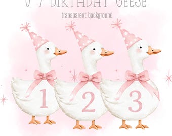 Pink Birthday Geese, 1-9 PNG, Little Geese, Sublimation Design, Silly Goose Clipart, Trending Silly Goose, Instant Digital Download
