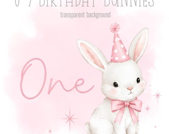 Pink Birthday Bunnies, 1-9 PNG, Little Rabbits, Sublimation Design, Sweet Bunny Clipart, Trending Bunnies, Instant Digital Download