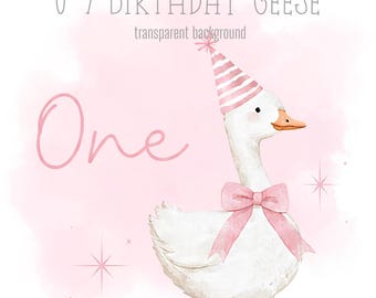 Pink Birthday Geese, 1-9 PNG, Little Geese, Sublimation Design, Silly Goose Clipart, Trending Silly Goose, Instant Digital Download