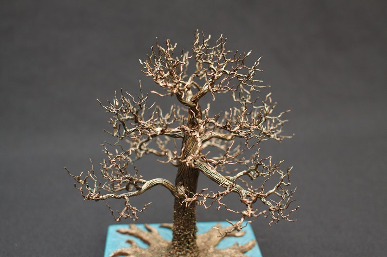 Bonsai tree Valentine's Day gift Women's Day gift Etsy