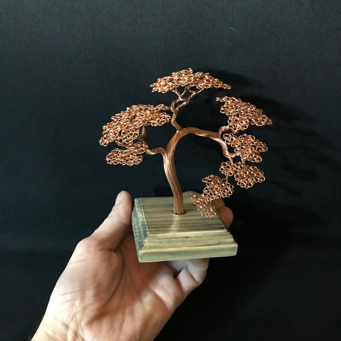 Bonsai tree Valentine's Day gift Women's Day gift Etsy