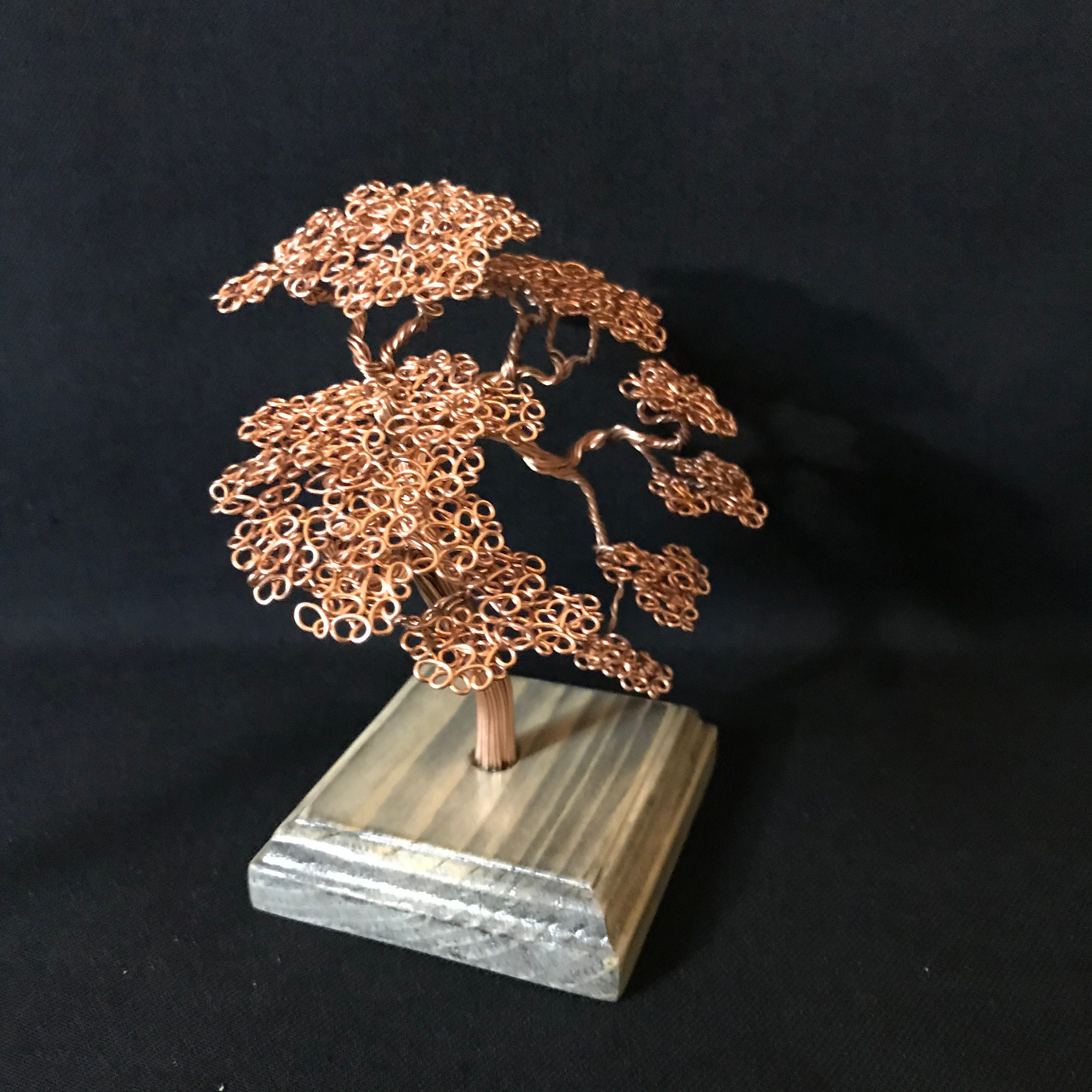 Bonsai tree Valentine's Day gift Women's Day gift Etsy