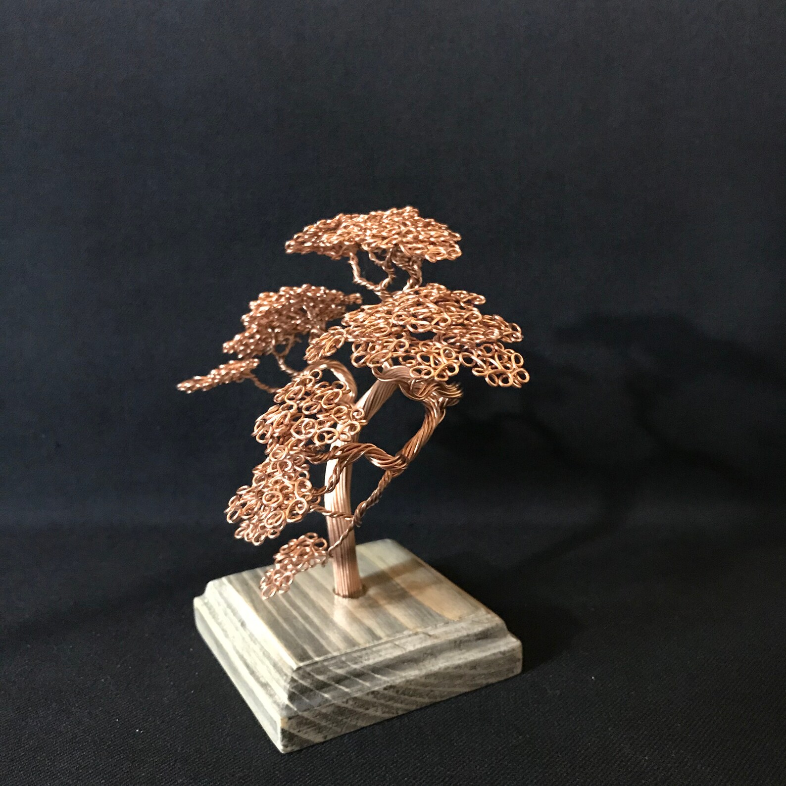 Bonsai tree Valentine's Day gift Women's Day gift Etsy