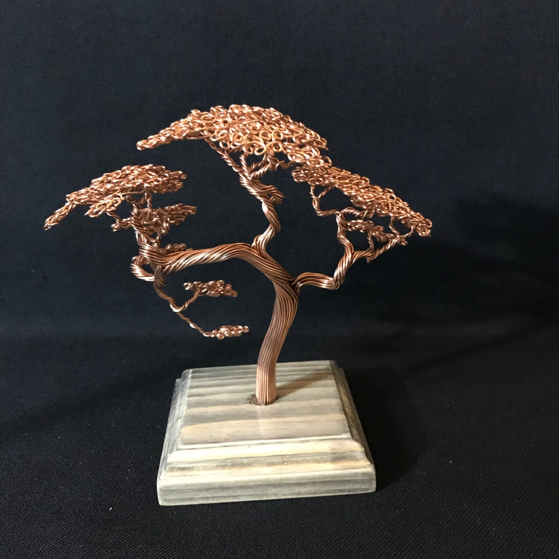 Bonsai tree Valentine's Day gift Women's Day gift Etsy