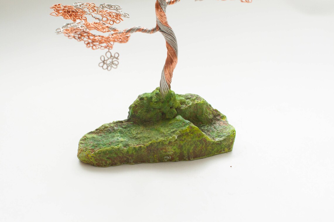Bonsai tree Idea for birthday gift Idea for Housewarming