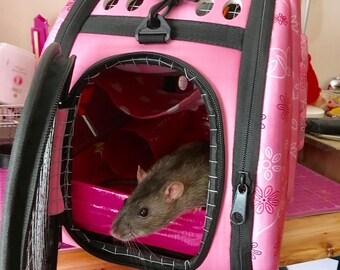 Custom modified pet rat carrier