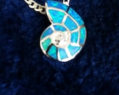 Snail shark eye pendant in aid with beautiful aqua blue fire opal.