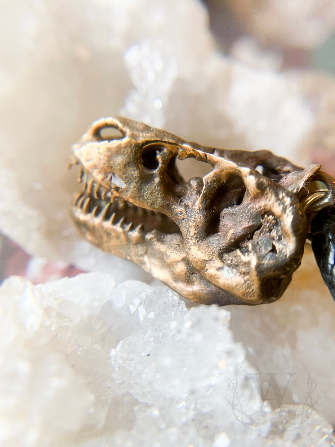 Tyrannosaurus Rex Pendant, Handcrafted Jewelry, Small Delicate Fossil