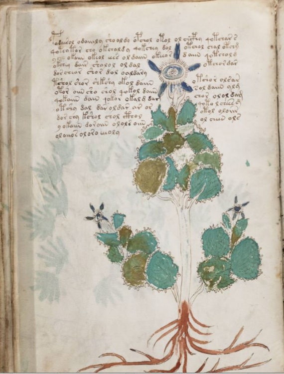 where was the voynich manuscript found where was the voynich manuscript found