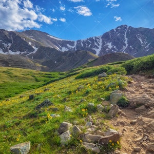 Limited Edition Instant Download - Afternoon on the Trail - Colorado Rocky Mountains - Landscape Photography