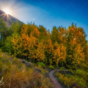 Descarga digital de edición limitada - Aspens de otoño en Crested Butte, Colorado - Rocky Mountains Landscape Photography