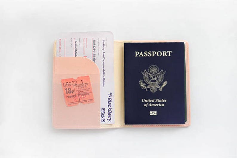 Anti-Skimming Soft Cover Passport Wallet NEW image 6