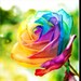 30x30cm Diamond Painting kit Rhinestone Rainbow Rose 5D DIY Partial Drill Diamond mosaic embroidery on canvas, Home decor, Art Crafts