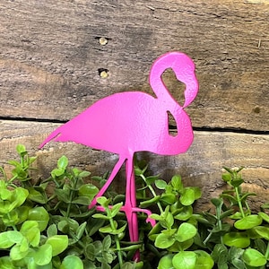 May include: A bright pink metal flamingo garden stake. The flamingo is silhouetted and has a long neck and legs. The stake is placed in a bed of green foliage against a weathered wood background.