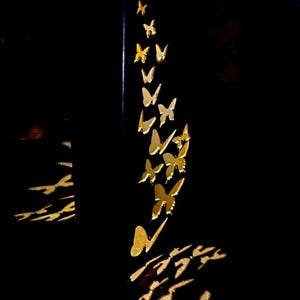 May include: A vertical arrangement of multiple gold-colored butterfly-shaped cutouts attached to a dark surface. The butterflies vary in size and orientation, creating a cascading effect. Light reflects off the metallic surfaces, casting shadows.