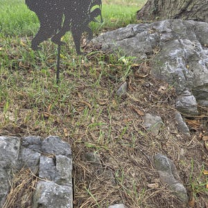 May include: A black metal silhouette of a raccoon standing on a thin stake. The raccoon figure features a detailed, textured pattern across its body, capturing the animal in a side profile stance with its head turned slightly downward.