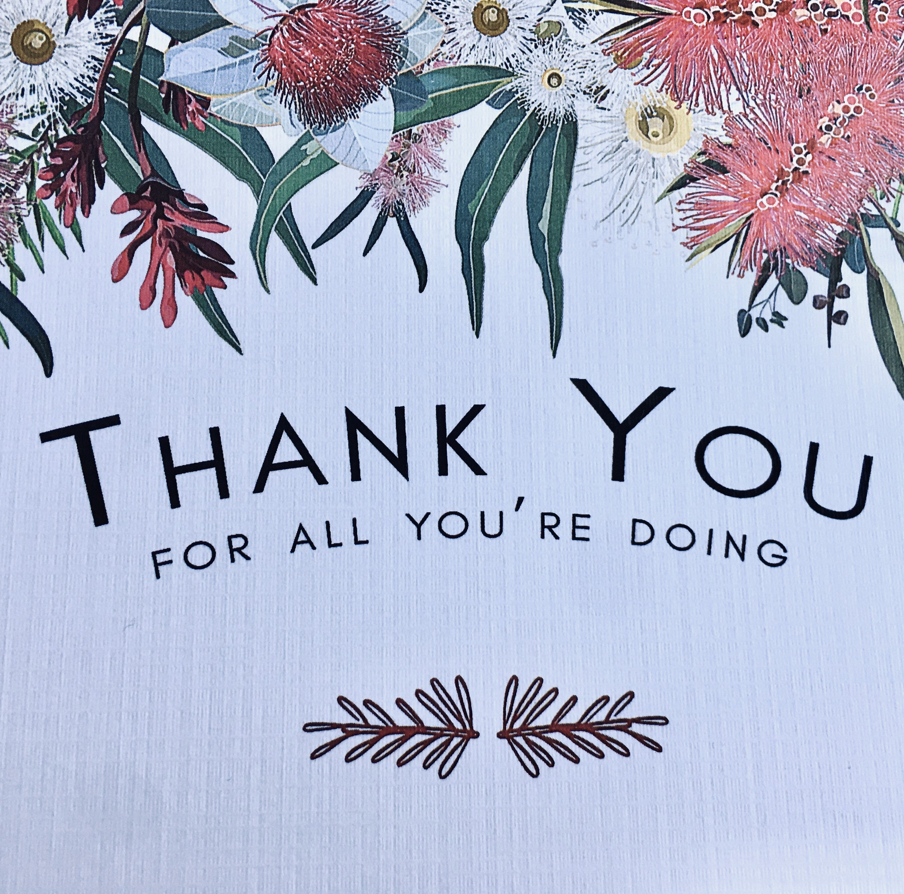 Thank You Cards AUSTRALIAN NATIVE Flora Cards Australian Etsy