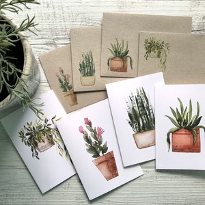 PLANTAS EN MACETA Colección 2 Juego de 4 tarjetas de tamaño mini o regular - Juego de tarjetas de felicitación florales en blanco - 4 diseños - Scattered Seed Co