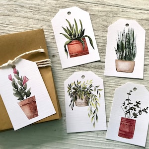 May include: Five gift tags featuring watercolour illustrations of potted plants. The tags are white with a hole punched at the top. The plants include a succulent, a snake plant, a fern, a cactus and a leafy plant.