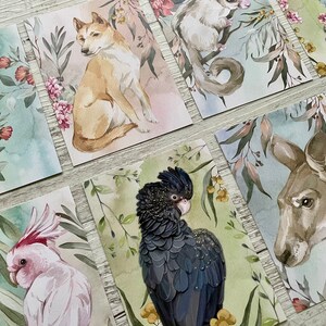 May include: A collection of watercolor art cards featuring Australian animals and flora. The cards showcase a variety of creatures, including a kangaroo, cockatoo, and dingo, set against a backdrop of eucalyptus leaves and flowers. The color palette includes greens, pinks, and browns.