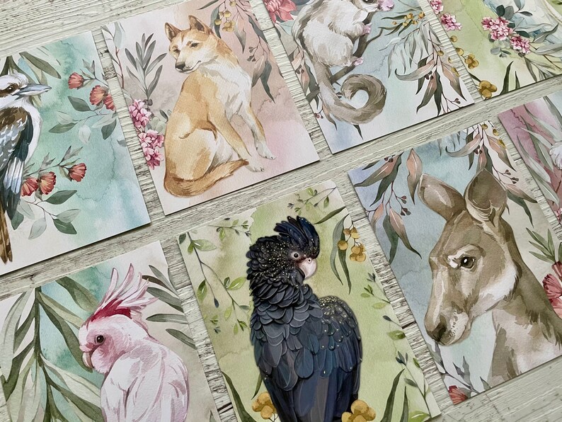 May include: A collection of watercolor art cards featuring Australian animals and flora. The cards showcase a variety of creatures, including a kangaroo, cockatoo, and dingo, set against a backdrop of eucalyptus leaves and flowers. The color palette includes greens, pinks, and browns.