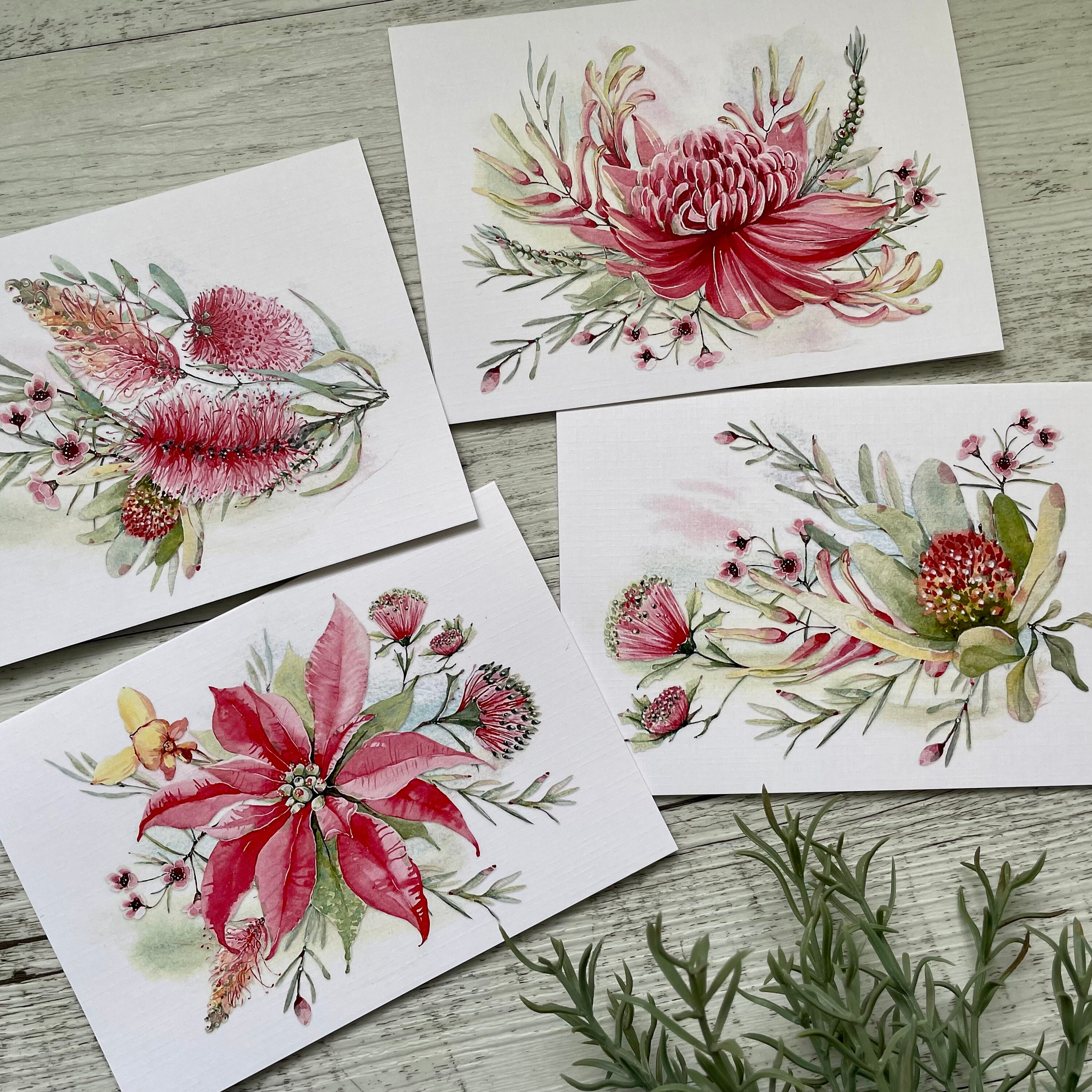 NEW! AUSTRALIAN BOTANICAL Cards Set of 4 - Mini or Regular Size Card ...