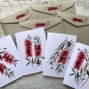 Juego de 4 tarjetas AUSTRALIANAS CALLISTEMON/Bottlebrush - Juego de tarjetas de tamaño mini o regular - Scattered Seed Co