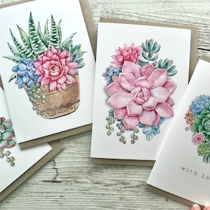 SUCCULENTS Mini or Regular sized cards set of 4 - floral blank greeting card set - 4 designs - Scattered Seed Co