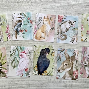 May include: A collection of ten watercolor art prints featuring Australian animals. Each print showcases a different animal, including a kookaburra, dingo, and koala, set against a backdrop of foliage and flowers. The prints have a soft, pastel color palette.