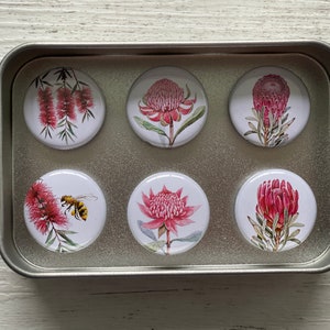 May include: A set of six round magnets featuring different floral designs. The magnets are white with pink and green floral illustrations. One magnet features a bee on a pink flower.