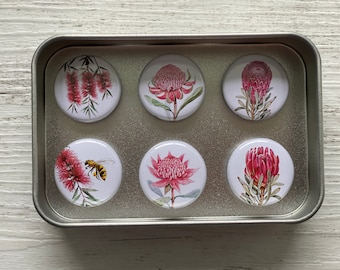Zestaw 6 magnesów 1-calowych z kolekcji Australian Waratah/Protea - przypinki - magnesy na lodówkę - Scattered Seed Co.