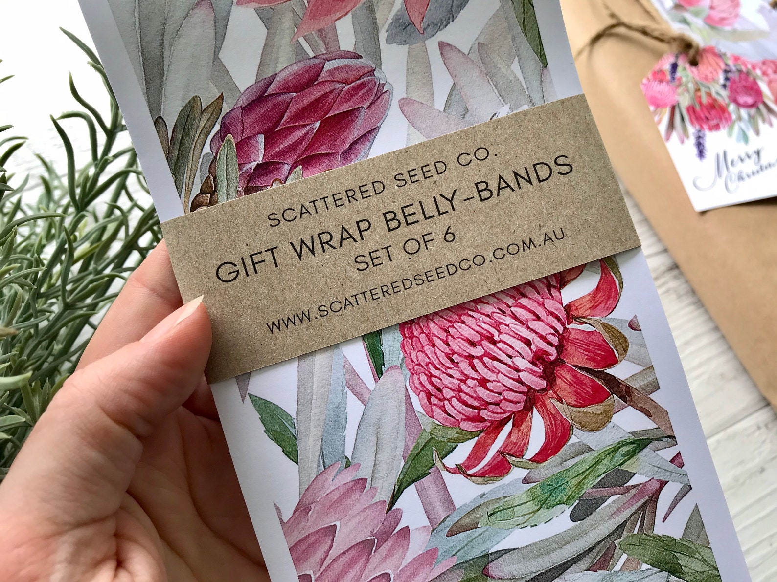 Gift Wrap Bellybands WARATAH / PROTEA COLLECTION Gift Etsy Australia