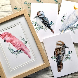AUSTRALIAN VIRDS Karten - 4 verschiedene Aussie Vogel Designs inklusive - Blanko, Danke oder Geburtstags Sets - Scattered Seed Co