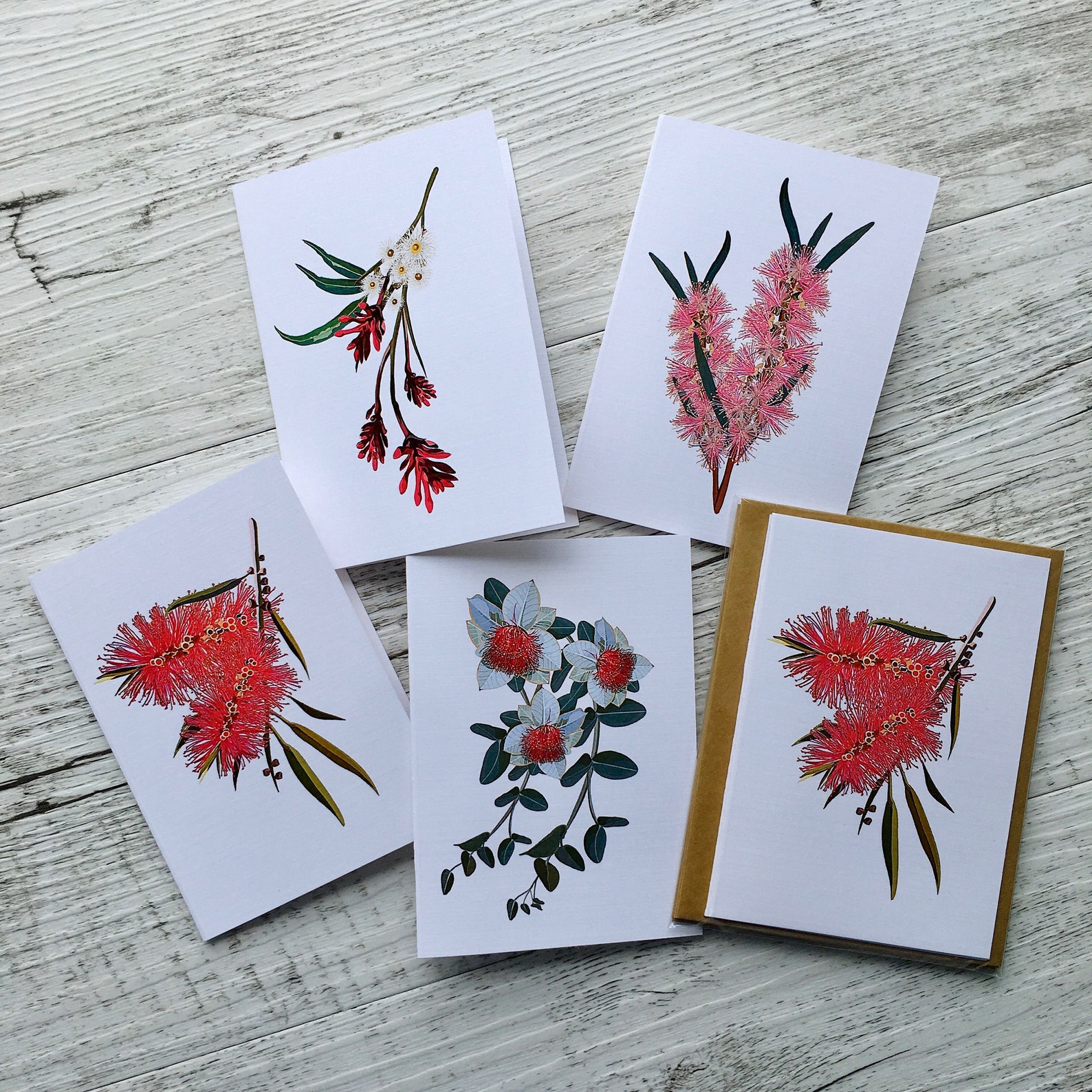 AUSTRALIAN NATIVE FLORA Cards Set of 4 Mini or Regular Size | Etsy