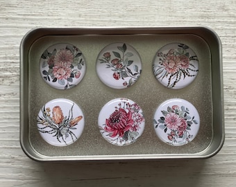 Zestaw 6 magnesów o średnicy 1 cala z kolekcji Australian Bouquet Collection - przypinki - magnesy na lodówkę - Scattered Seed Co.