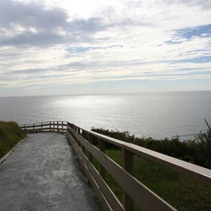Pacific Ocean From a Quiet Path