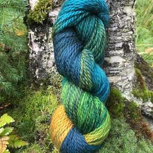 Chugach Forest - Alaskan Colors Collection, Hand painted Chunky yarn inspired by the magic of Alaska