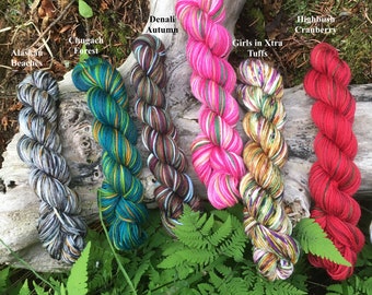 Alaskan Colors Mini Skeins: Set of Six Hand painted sock yarns