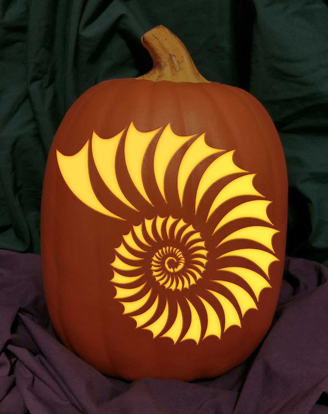 Nautilus Shell Carved Foam Permanent Pumpkin - Etsy