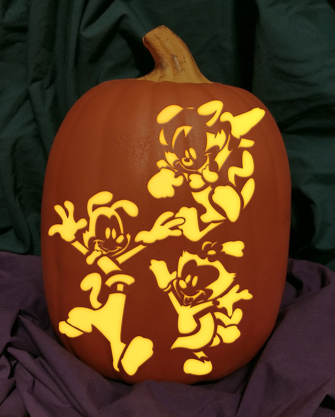 Animaniacs Carved Foam Permanent Pumpkin - Etsy