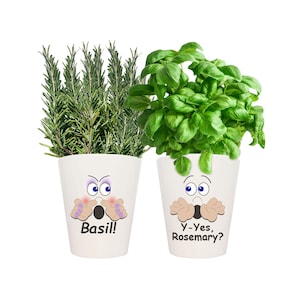Herb Kit – Funny Basil & Rosemary Ceramic Plant Pots, Seeds and Growing Equipment