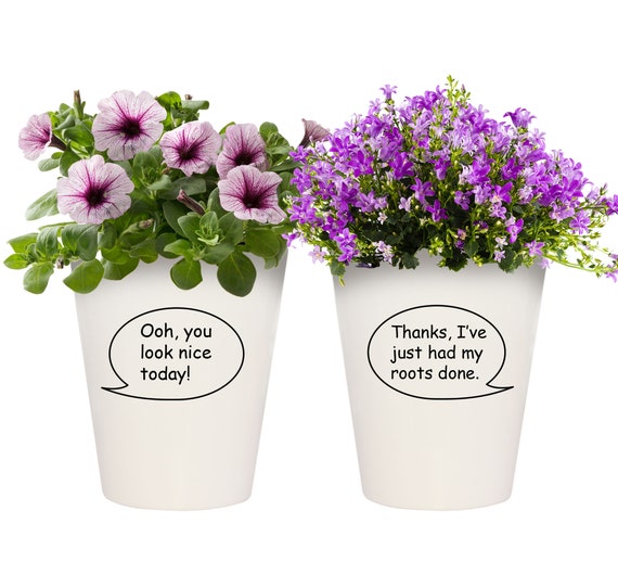 Funny Plant Pots Funny Planter Quirky Plant Pot Quirky Planter Etsy