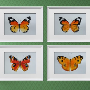 Butterflies Watercolor Painting, Set of 4 Butterflies, Abstract Watercolor Art Print, Butterflies Nursery Room Decor