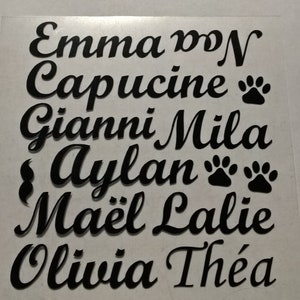 Peut inclure: Lettrage en vinyle noir avec les noms Emma, Capucine, Gianni, Mila, Aylan, Maël, Lalie, Olivia et Théa. Il y a aussi des empreintes de pattes.