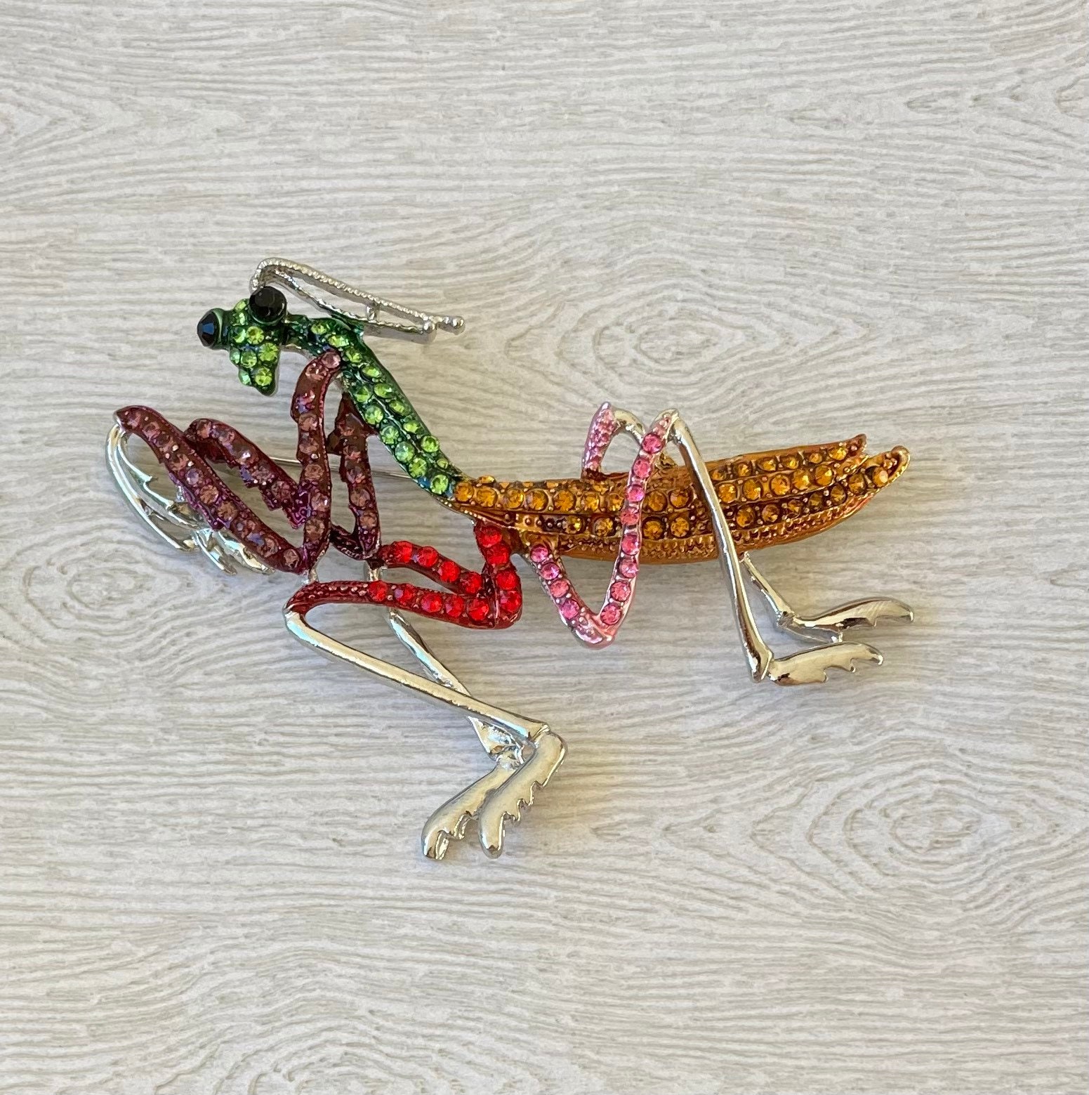 Praying mantis shop brooch
