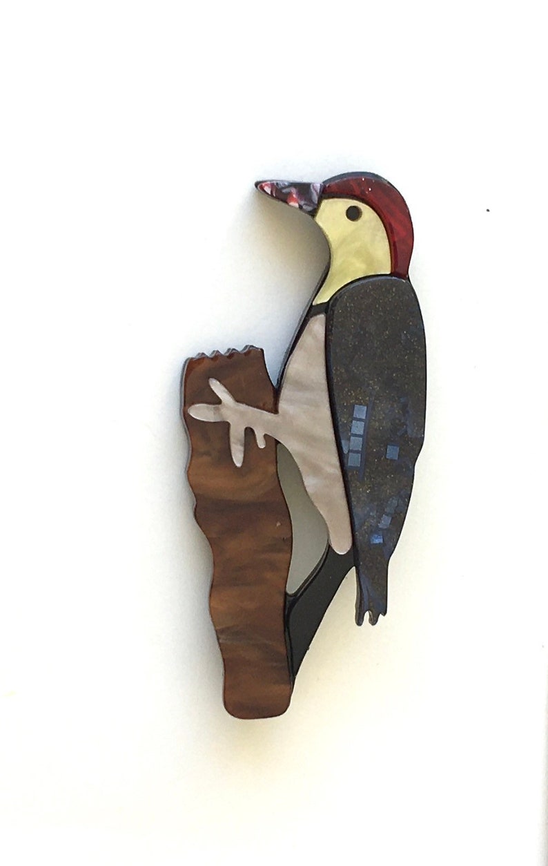 Unique bird Brooch in acrylic.