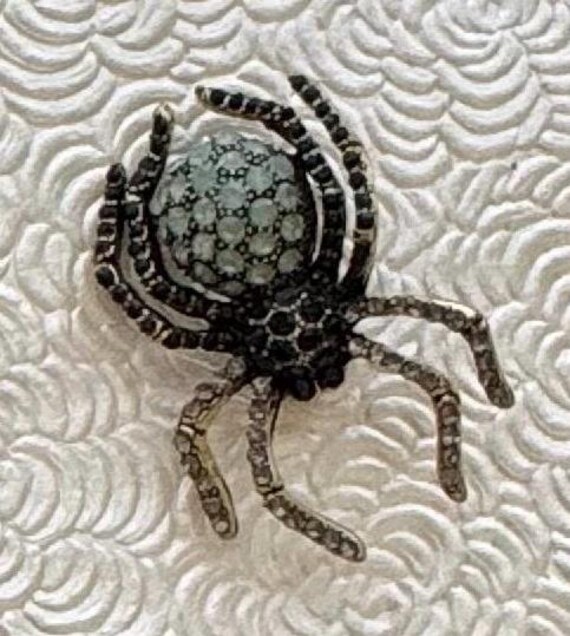 Unique Spider tarantula brooch